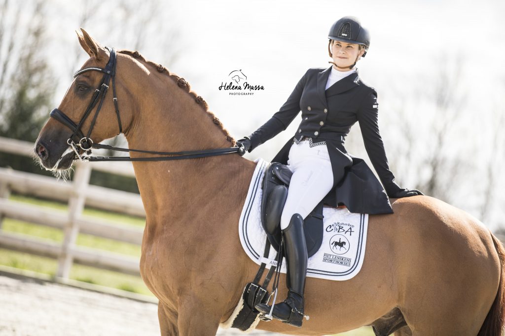 borduring paard borduring paard